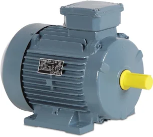 3 Phase Induction Motor