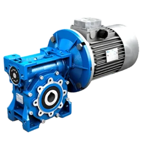 Double Worm Gearbox
